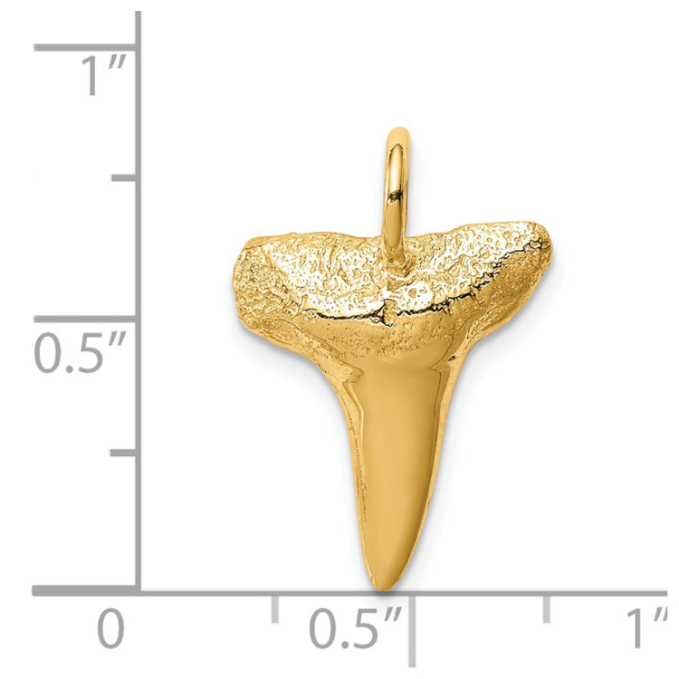 14K Shark Tooth Pendant